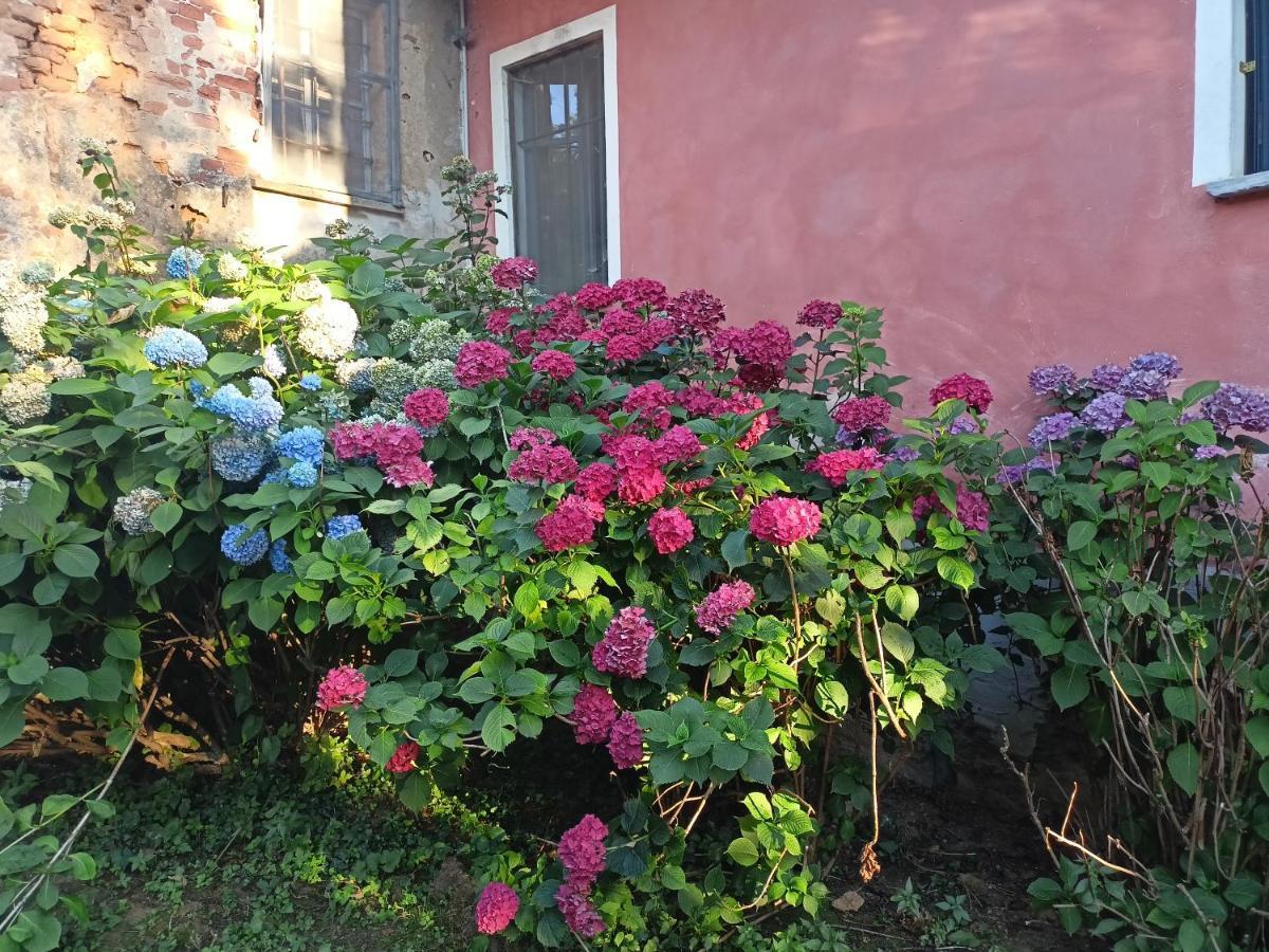 A Romantic Suite In The Countryside Near Torino Pecetto Bagian luar foto